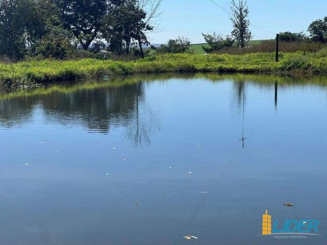 Sítio e chácara venda em Setor Central, Uberlândia