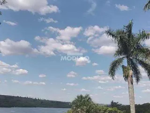 Sítio e chácara venda em Região Geográfica Imediata de Uberlândia, Oliveira Fortes