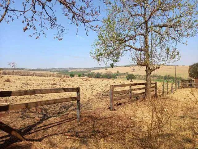 Sítio e chácara venda em Região Geográfica Imediata de Uberlândia, Oliveira Fortes