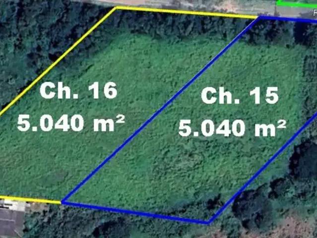 Sítio e chácara venda em Região Geográfica Imediata de Uberlândia, Oliveira Fortes