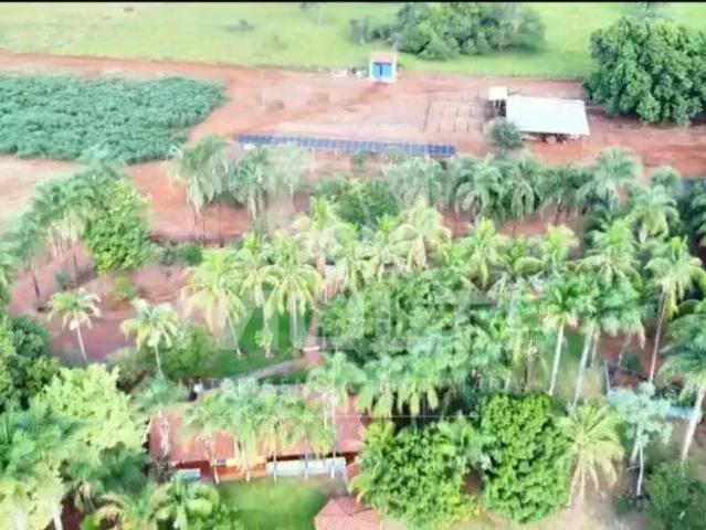 Sítio e chácara venda em Região Geográfica Imediata de Uberlândia, Oliveira Fortes