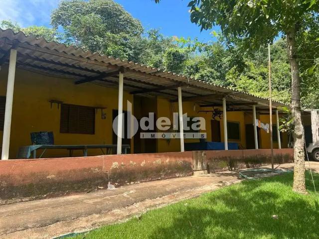 Sítio e chácara venda em Região Geográfica Imediata de Uberlândia, Oliveira Fortes