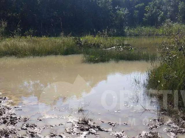Sítio e chácara venda em Região Geográfica Imediata de Uberlândia, Oliveira Fortes