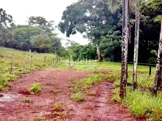 Sítio e chácara venda em Região Geográfica Imediata de Uberlândia, Oliveira Fortes