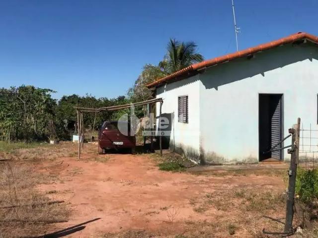 Sítio e chácara venda em Região Geográfica Imediata de Uberlândia, Oliveira Fortes