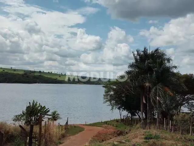Sítio e chácara venda em Região Geográfica Imediata de Uberlândia, Oliveira Fortes