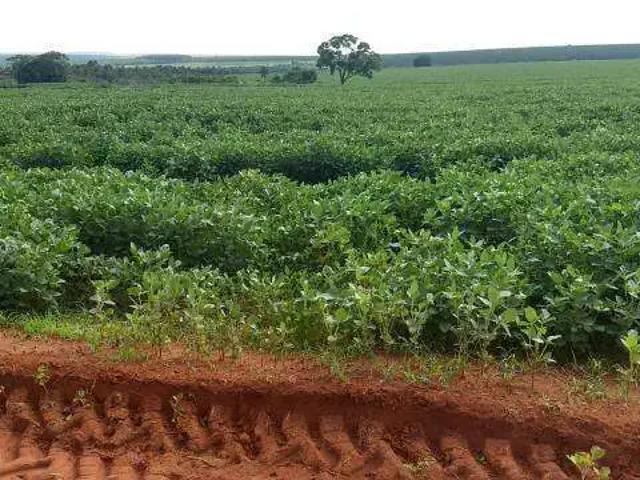 Sítio e chácara venda em Região Geográfica Imediata de Uberlândia, Oliveira Fortes