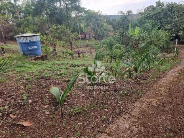 Sítio e chácara venda em Região Geográfica Imediata de Uberlândia, Oliveira Fortes