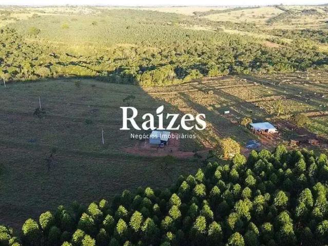 Sítio e chácara venda em Região Geográfica Imediata de Uberlândia, Oliveira Fortes