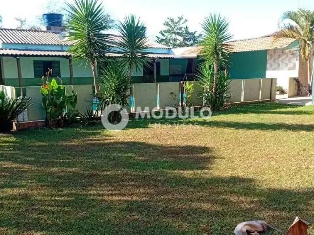 Sítio e chácara venda em Região Geográfica Imediata de Uberlândia, Oliveira Fortes