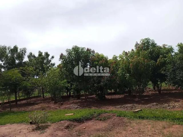 Sítio e chácara venda em Região Geográfica Imediata de Iturama, Iturama