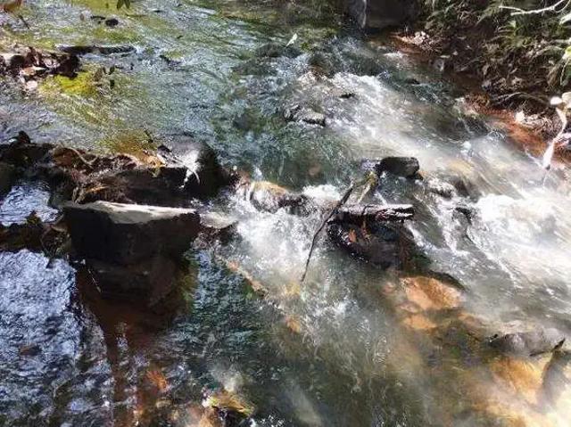 Sítio e chácara venda em Região Geográfica Imediata de Uberlândia, Oliveira Fortes
