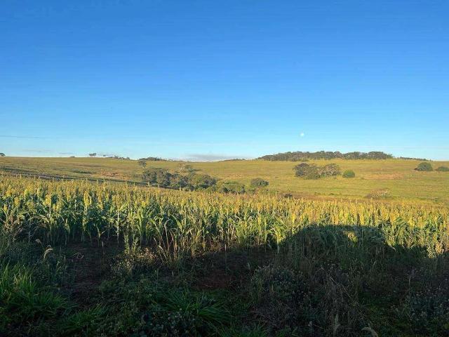 Sítio e chácara venda em Setor Norte, Uberlândia