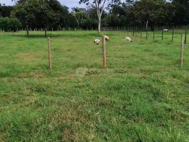 Sítio e chácara venda em Setor Sul, Uberlândia
