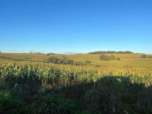 Sítio e chácara venda em Região Geográfica Imediata de Uberlândia, Oliveira Fortes