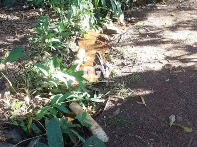 Sítio e chácara venda em Região Geográfica Imediata de Uberlândia, Oliveira Fortes