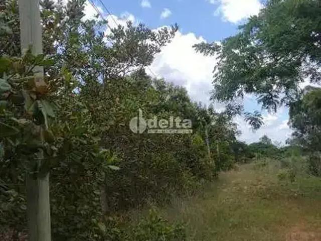 Sítio e chácara venda em Região Geográfica Imediata de Uberlândia, Oliveira Fortes