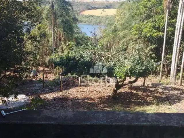 Sítio e chácara venda em Região Geográfica Imediata de Uberlândia, Oliveira Fortes
