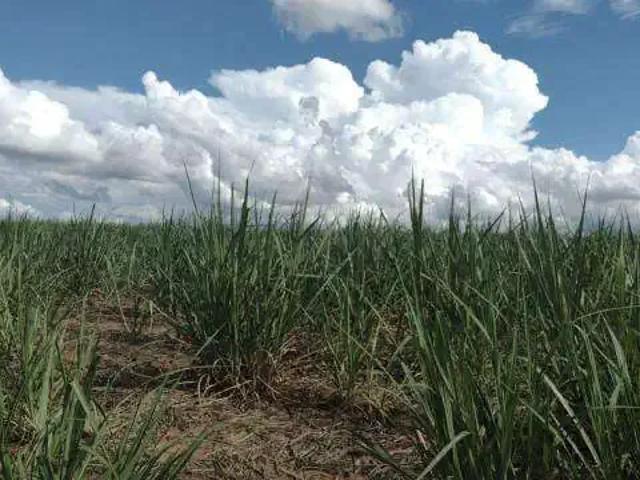 Sítio e chácara venda em Região Geográfica Imediata de Uberlândia, Oliveira Fortes