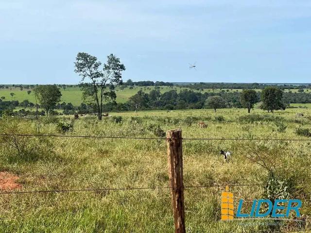 Sítio e chácara venda em Região Geográfica Imediata de Uberlândia, Oliveira Fortes