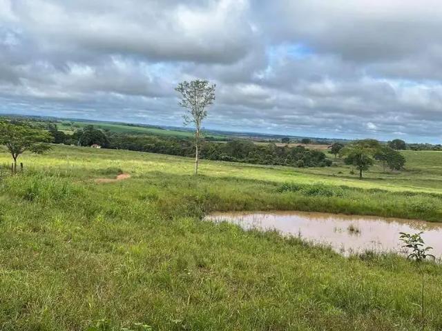 Sítio e chácara venda em Região Geográfica Imediata de Uberlândia, Oliveira Fortes