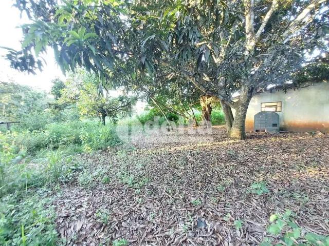 Sítio e chácara venda em Região Geográfica Imediata de Uberlândia, Oliveira Fortes