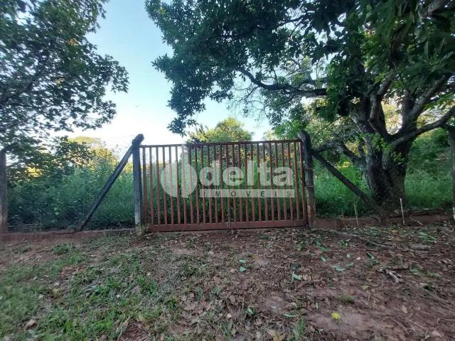 Sítio e chácara venda em Região Geográfica Imediata de Uberlândia, Oliveira Fortes