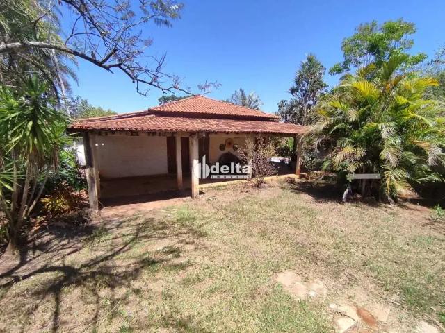 Sítio e chácara venda em Região Geográfica Imediata de Uberlândia, Oliveira Fortes