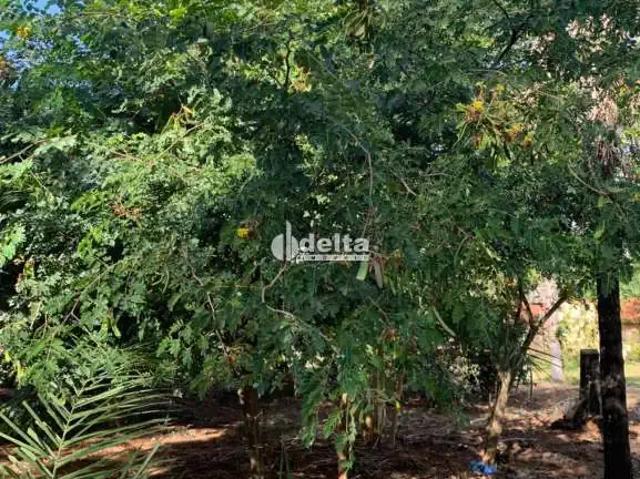 Sítio e chácara venda em Região Geográfica Imediata de Uberlândia, Oliveira Fortes