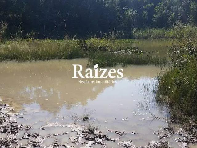Sítio e chácara venda em Região Geográfica Imediata de Uberlândia, Oliveira Fortes