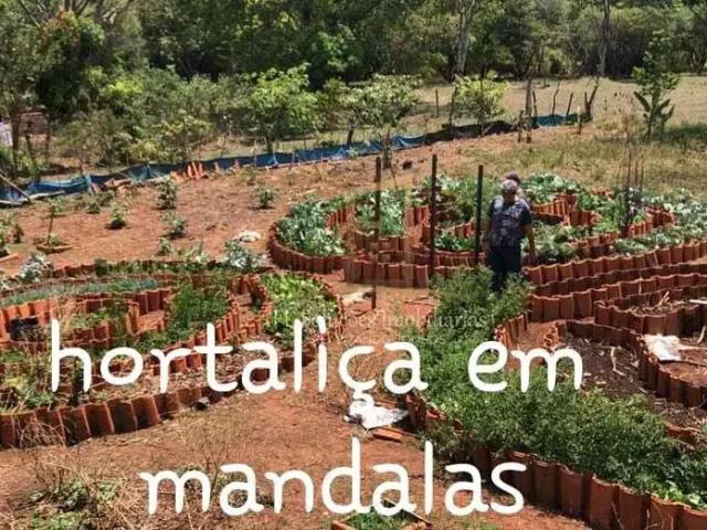 Sítio e chácara venda em Região Geográfica Imediata de Uberlândia, Oliveira Fortes