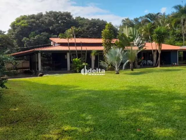 Sítio e chácara venda em Região Geográfica Imediata de Uberlândia, Oliveira Fortes