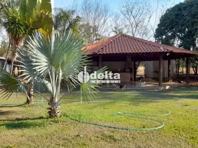 Sítio e chácara venda em Região Geográfica Imediata de Uberlândia, Oliveira Fortes