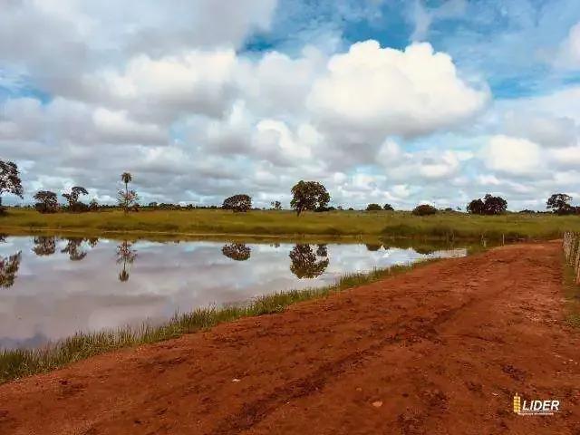 Sítio e chácara venda em Região Geográfica Imediata de Uberlândia, Oliveira Fortes