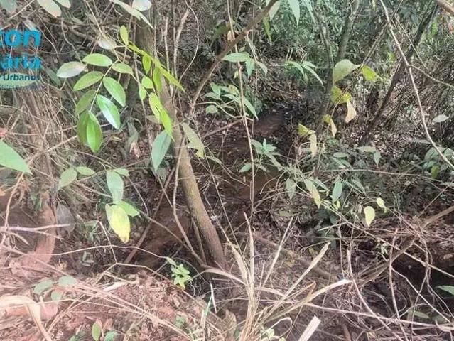Sítio e chácara venda em Região Geográfica Imediata de Uberlândia, Oliveira Fortes