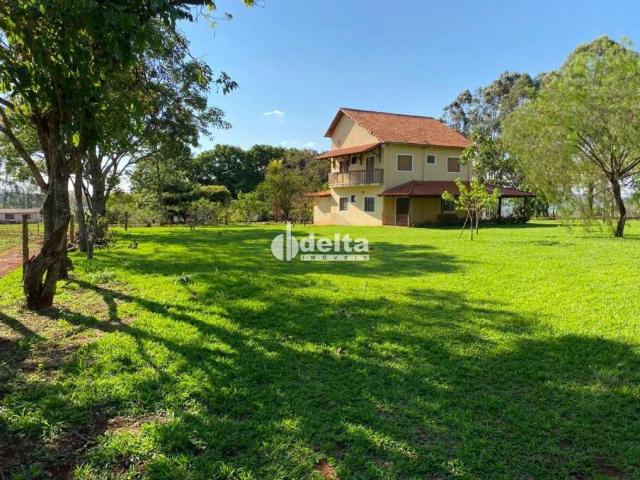 Sítio e chácara venda em Uberlândia, Minas Gerais