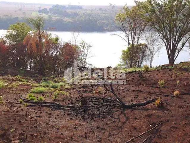 Sítio e chácara venda em Região Geográfica Imediata de Uberlândia, Indianópolis