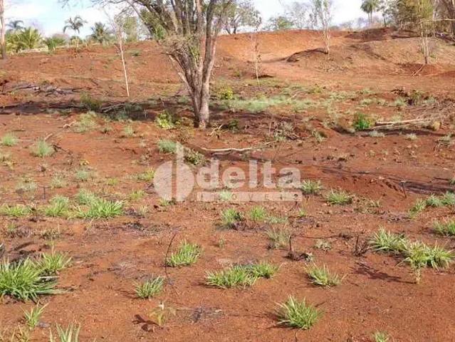 Sítio e chácara venda em Região Geográfica Imediata de Uberlândia, Indianópolis