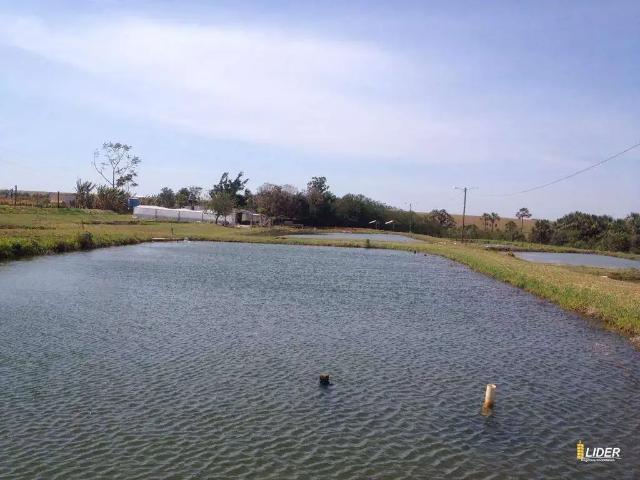 Sítio e chácara venda em Região Geográfica Imediata de Uberlândia, Oliveira Fortes