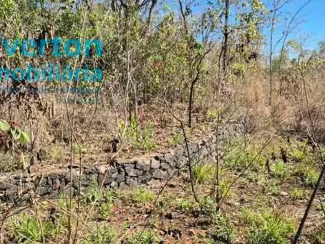 Sítio e chácara venda em Região Geográfica Imediata de Uberlândia, Oliveira Fortes