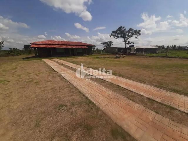 Sítio e chácara venda em Região Geográfica Imediata de Uberlândia, Oliveira Fortes