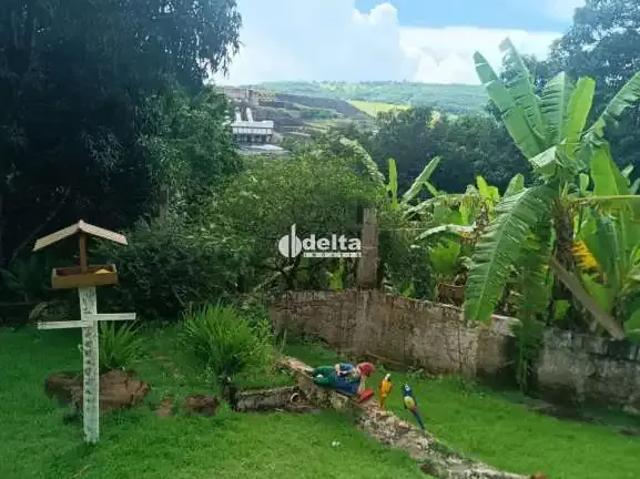 Sítio e chácara venda em Região Geográfica Imediata de Uberlândia, Oliveira Fortes