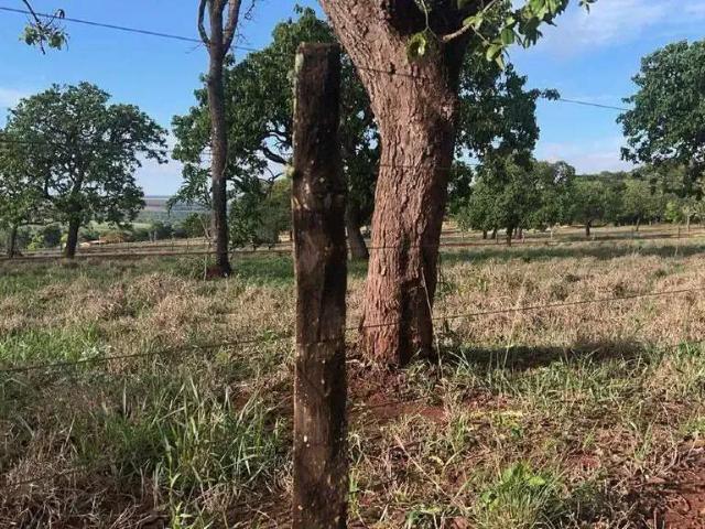 Sítio e chácara venda em Região Geográfica Imediata de Uberlândia, Oliveira Fortes