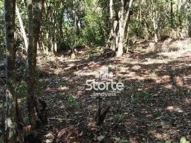 Sítio e chácara venda em Região Geográfica Imediata de Uberlândia, Oliveira Fortes