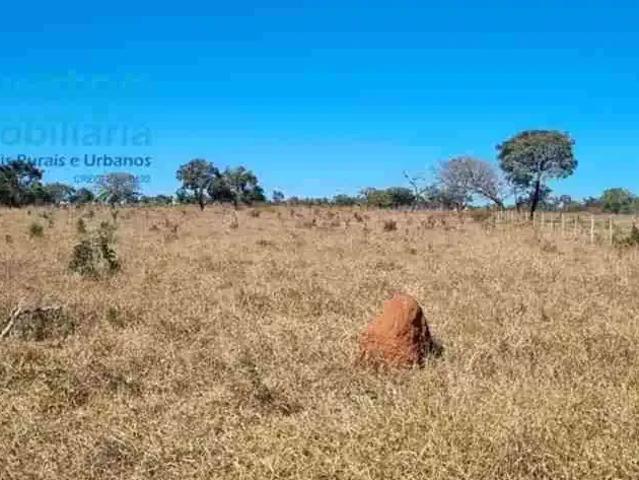 Sítio e chácara venda em Região Geográfica Imediata de Uberlândia, Oliveira Fortes