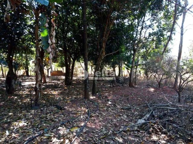 Sítio e chácara venda em Região Geográfica Imediata de Uberlândia, Oliveira Fortes