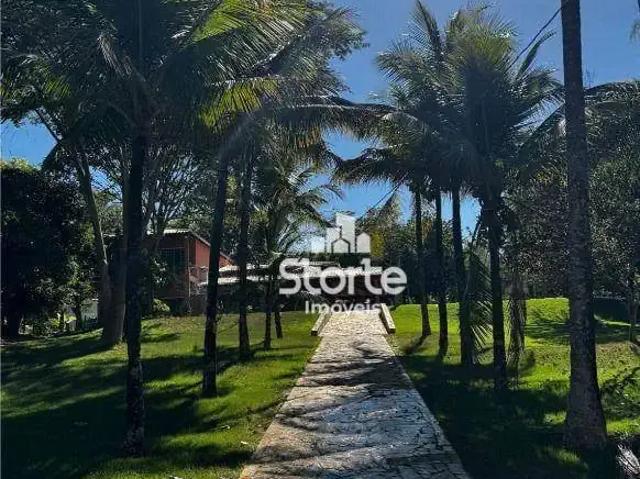 Sítio e chácara venda em Região Geográfica Imediata de Uberlândia, Oliveira Fortes