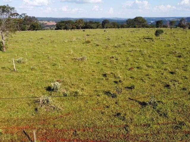 Sítio e chácara venda em Região Geográfica Imediata de Uberlândia, Oliveira Fortes