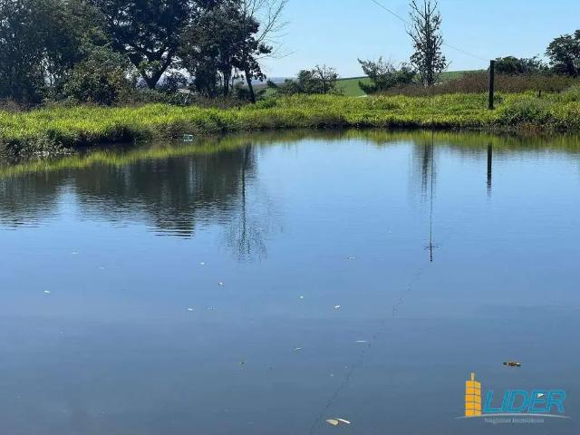 Sítio e chácara venda em Região Geográfica Imediata de Uberlândia, Oliveira Fortes