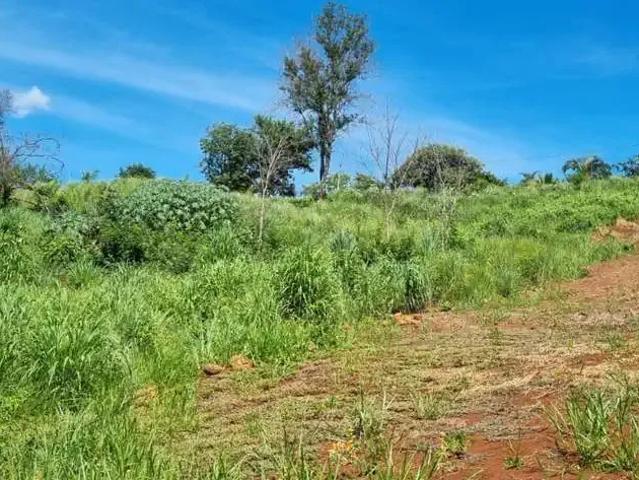 Sítio e chácara venda em Região Geográfica Imediata de Uberlândia, Oliveira Fortes